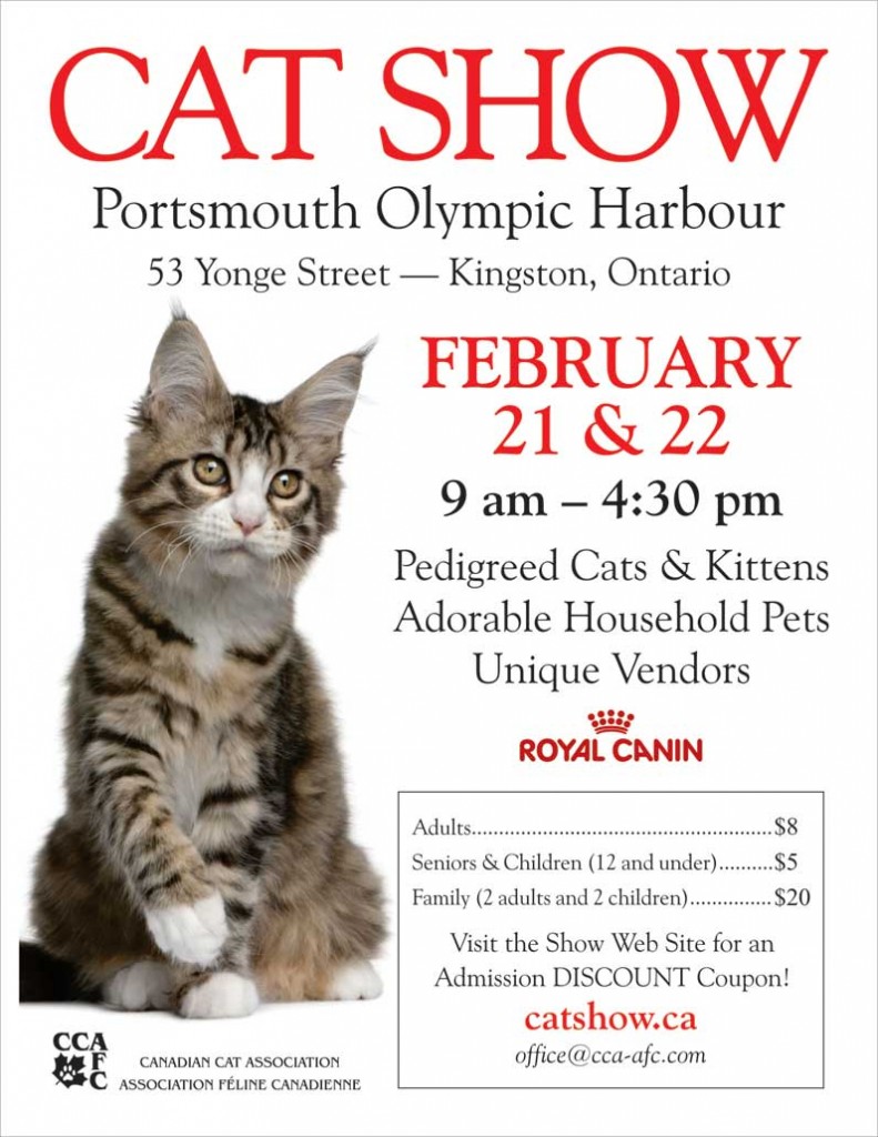 Kingston Cat Show 2014
