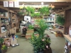 Creative Gardens Landscape Supply and Garden Centre