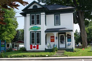 Westport Ontario Artemisia