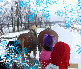 West Winds Ranch Sleigh Rides