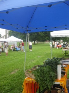 Westport Farmer's Market