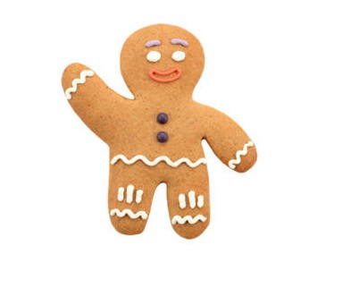 Children Gingerbread Day