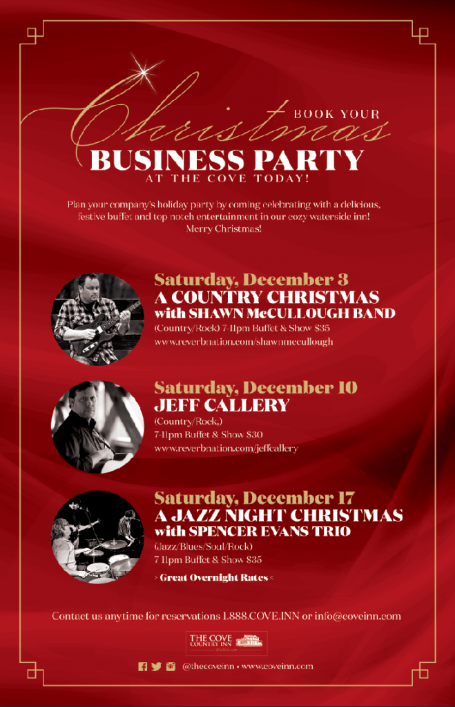 IMG 4 - Christmas Business Party Promo 2016